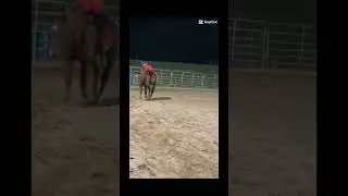 (flash warning) no stirrups november fail! please no hate! #equestrian
