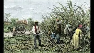 💔 Chains of History Unveiled: The Shocking Truths of the African Slave Trade Revealed! 🌍😢