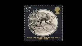 Royal Mail Stamps 'Microscopes' TV Advert - 1989
