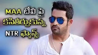 Maa TV Pi Kasitirchukunna NTR Fans...? || Filmystarss