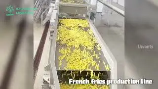 French Fries Production Line