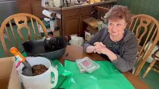 4th wk pantry challenge and winter sowing