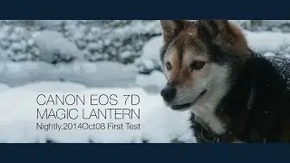 Canon EOS 7D MAGIC LANTERN Raw Test | 2.5K Crop and 1.7K Normal | Nightly.2014Oct08