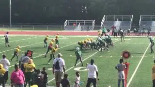 Gresham Park 2016 11U vs MLK Jr