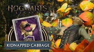 Hogwarts Legacy: 'Kidnapped Cabbage' Side Quest (Veg Theft Auto)