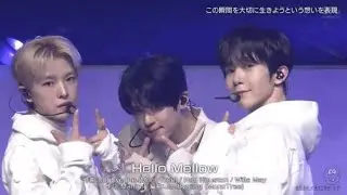 【バズリズム02】NCT WISH「Hello Mellow」✨1月31日ステージで魅せた圧巻パフォーマンス