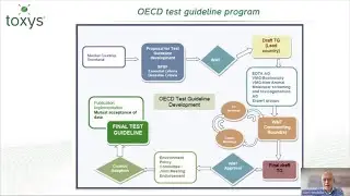Webinar: Accelerating the international validation of NAMs