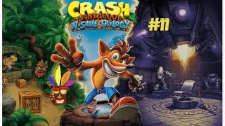 WHY BEES?!?! | Crash Bandicoot N. Sane Trilogy #11 W/ D3rpy 5qu1d