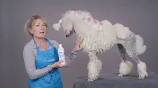Chris Christensen Ice on Ice De-tangling Shampoo