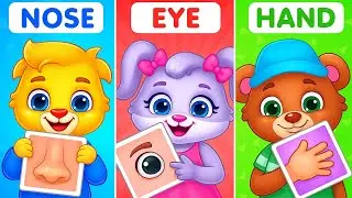 Body parts names song | learn parts of body | learning body parts for toddlers song | english rhymes