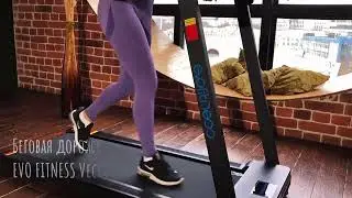 Беговая дорожка EVO FITNESS Vector М600 электрическая для дома