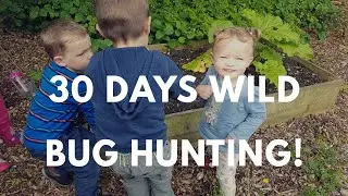 30 DAYS WILD - Bug hunting!