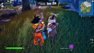 Fortnite New Team Who this