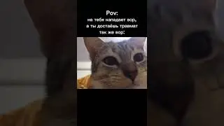 мем