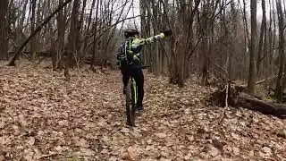 MTB DH 81