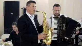 Fane Florian Instrumentala