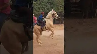 CAVALO PULANDO NA CAVALGADA DOS AMIGOS #fazenda #ro&ccedil;a #icaraideminas #s&atilde;ofranciscomg #agro