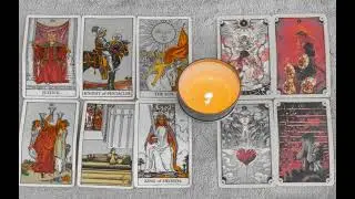 No Contact / Separation (Collective Reading) 🍀