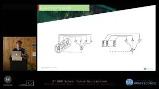 De Vries Saskia - Functional Physiology of the mouse virtual cortex