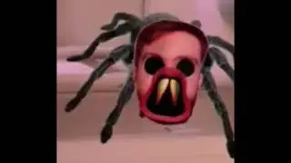 Incy Wincy Mini Spider