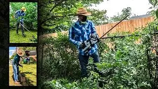 Уборка заросшего двора, высокая трава, сорняки и обрезка деревьев