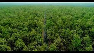 Pratap pur Jungle, Baripada, Mayurbhanj, Drone Shoot, Odisha bigest Jungle