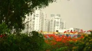 5 May 2009 065