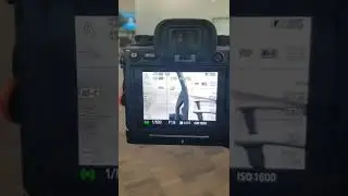samyang 135.8 vs sony 135gm af