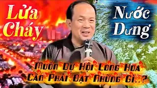 🛑🛑🛑  Những Tai Họa Của - Nhân Loại bị Bão Lụt Chiến Tranh - Ác Thú - Ma Quỷ 🛑 Bùi Trung Hậu