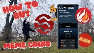 How to Buy Meme Coins on Sei Network with Compass Wallet (+Altcoins and NFT's)