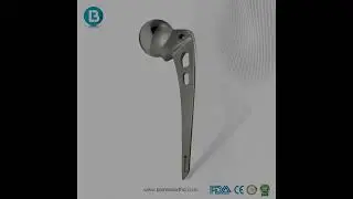 A.M. Hip Prosthesis &ndash; Standard Stem | Hip Hemiarthroplasty Implant | Biomedortho
