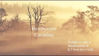 Beethoven Cavatina arr. for Piano Werkmeister and 7 limit 455.4hz