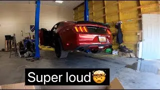 CAT DELETE ON MY MUSTANG GT SUPER LOUD!!