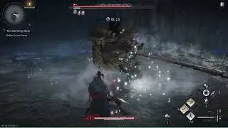 The Void King No Hit | Nameless Sword & Rope Dart | Where Winds Meet