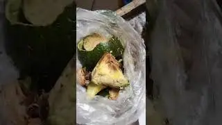 JS. Informa: Voc&ecirc; est&aacute; comprando fruta podre, verdura murcha, hortali&ccedil;a em Supermercados e Sacol&atilde;o