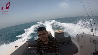 Jigging and Casting Trip - Qatar