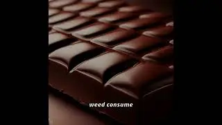 Switzerland is the biggest consumer of chocolate in the world