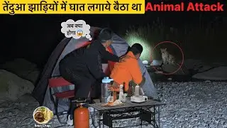 Leopard 🐆 Attack Night Camping In Dangerous Forest Animal Attack  Jungle Camping Video In Hindi 