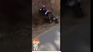 Hilarious Fails That Defy Logic #viral #shorts #youtubeshorts #trending #funny #meme #comedy #fail