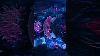 Sonic 3 en 4K #sonic #sonicthehedgehog #shadow #tails #sonic3 #4k #short #viral #hd #pel&iacute;cula