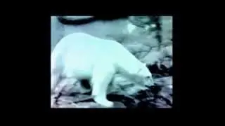 Mille & Hirsch - The Heat Is On (Apollo Krieg 03)
