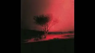 Joji - Last of a Dying Breed x Gimme Love