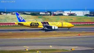 全日航 ANA9415 C-3PO 星際大戰彩繪機抵達桃園機場！