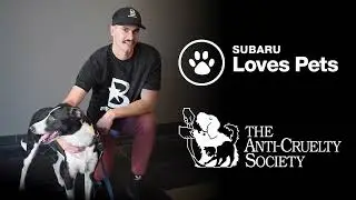 Berman Subaru Chicago Loves Pets: ACS & Dylan Cease Partnership