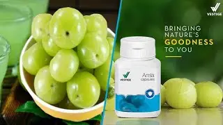 Vestige Amla Malayalam | VESTIGE PRODUCTS | Vestige Malayalam | Amla | vitamin C|