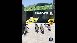 Me and the Boys Ready to Bet 🐧🎯 #solana #polygon #cryptobetting