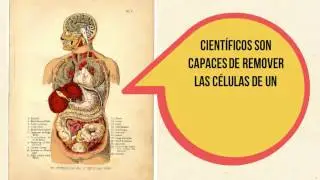 &iquest;Qu&eacute; es la matriz extracelular?