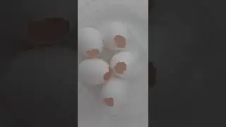 como fazer ovos de gesso