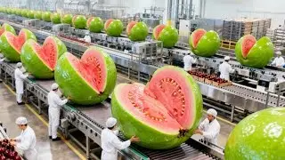 From Fresh Guavas to Refreshing Juice: Watch the Full Guava Juice Production Process!