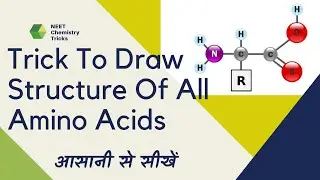 Trick To Draw Structure Of Amino Acids